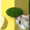 Pet Wall Scratcher &amp; Groomer