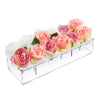Transparent Rektangulär Blomvas