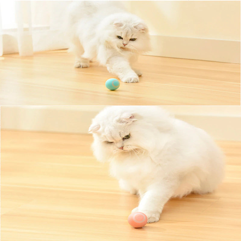 Pet Gravity Ball