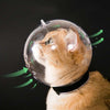 Anti-bett-hjälm för kattvård