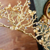 Guld Libell Skogsmarkssamlaren krona