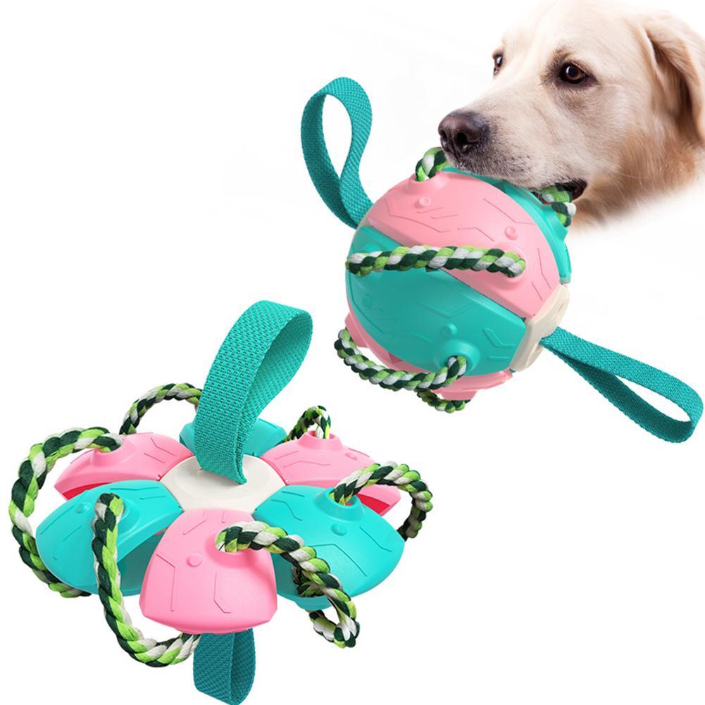 Interaktiv frisbee boll hund leksak