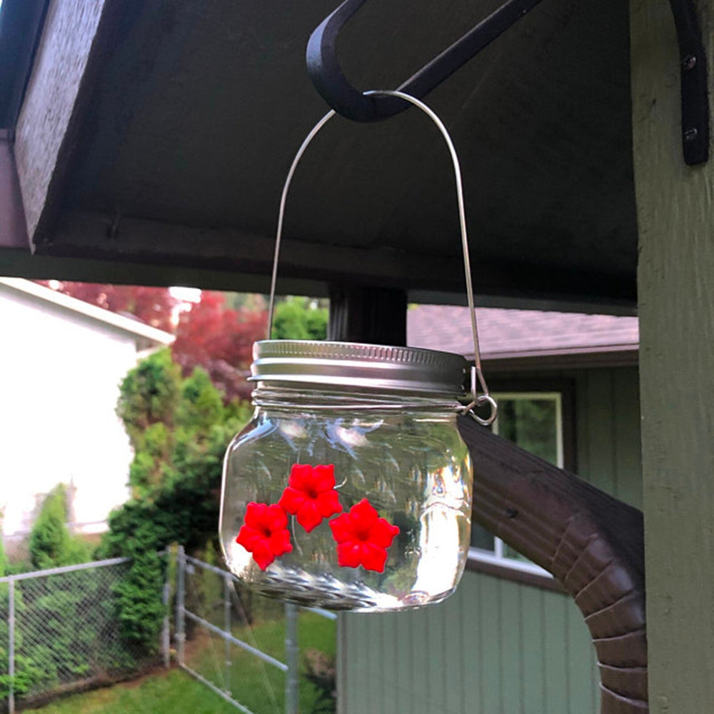 Kolibri Feeder Jar med portar blomma