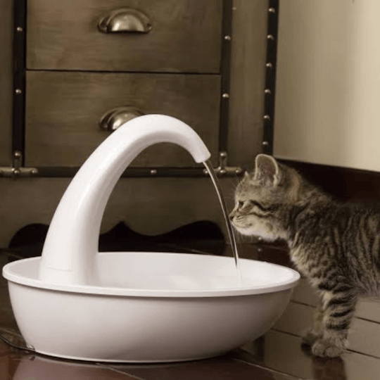 Premium automatisk dricksfontän för katter