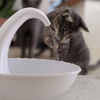 Premium automatisk dricksfontän för katter