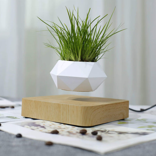 Svävande Luft Bonsai Pot