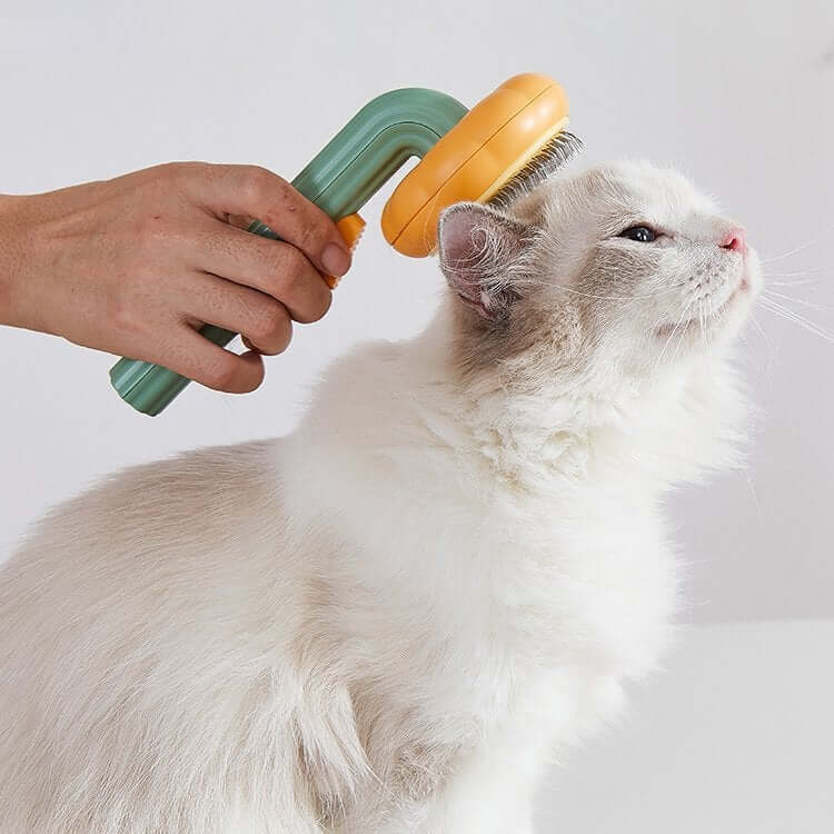 Pumpa Pet Brush