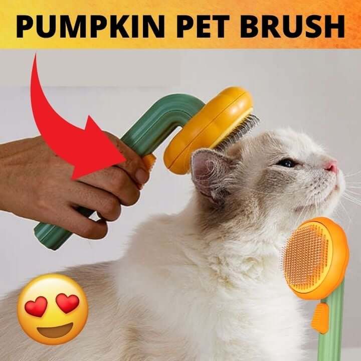 Pumpa Pet Brush